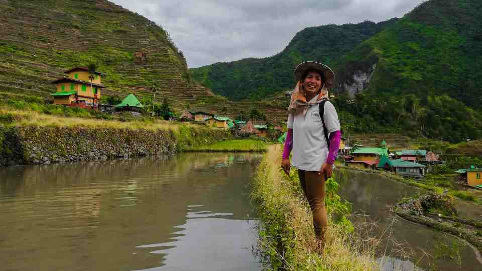 Tourists and workers should get the Japanese encephalitis vaccine.